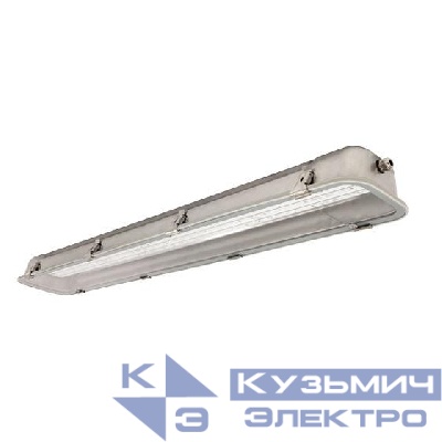 Светильник ЛСП67-2х18-011 Linkor Ардатов 1067218011