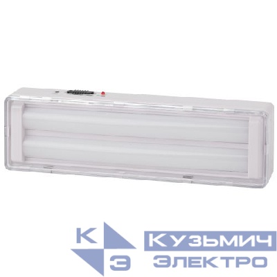 Светильник светодиодный DBA-104-0-20 44LED 6ч IP20 стрелка аварийный непостоянный Эра Б0044397