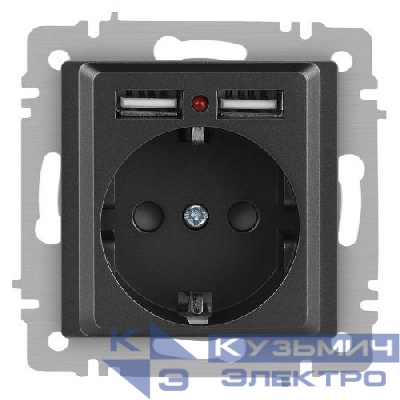 Розетка 1-м СП Accent 6-410-07 16А IP20 250В P+E Schuko + 2хUSB защ. шторки графит Intro Б0063702