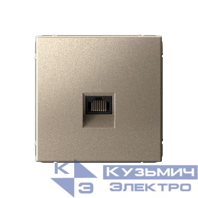 Розетка компьютерная ArtGallery RJ45 кат.5E механизм шампань SE GAL000583