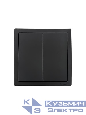 Выключатель 2-кл СП ZIMA IP20 10А безвинт. зажим черн. бархат LEZARD 704-4288-101QC