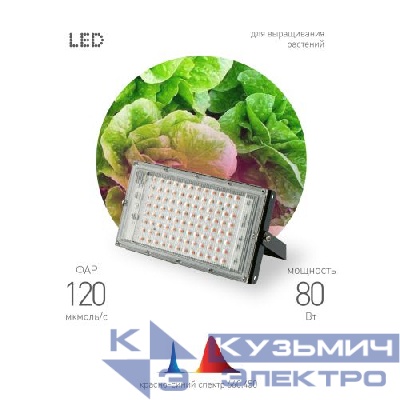 Прожектор светодиодный FITO-80W-RB-LED-Y 80Вт для растений красн./син. спектр IP65 Эра Б0053082