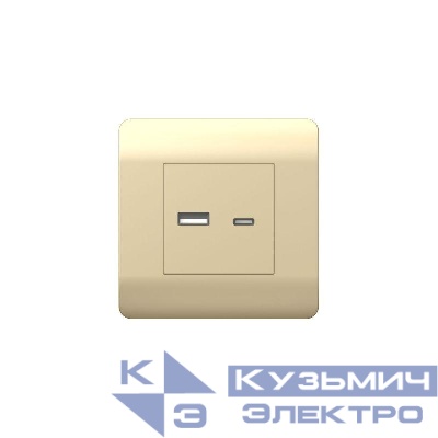 Розетка USB NEW3-E тип A+C 5В/2.1А шампань CHINT 431450