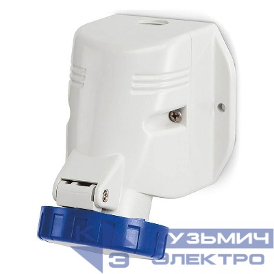 Розетка наружн. уст. 16А 230В 2P+E IP67 DKC DIS5181653T