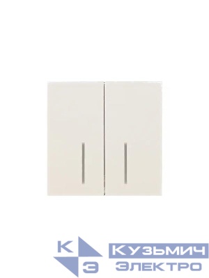 Выключатель 2-кл. с индик. СП ZIMA IP20 10А безвинт. зажим слон. кость LEZARD 704-9088-112QC