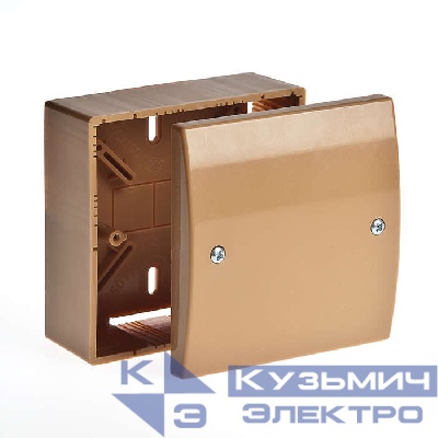 Коробка универсальная для кабель-каналов 100х100х55 IP40 Ruvinil 65019К