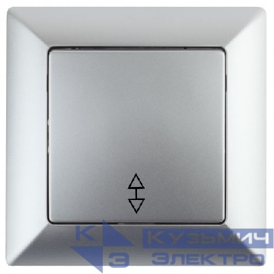 Переключатель 1-кл. СП Solo 4-103-03 10А 250В IP20 алюм. Intro Б0053579