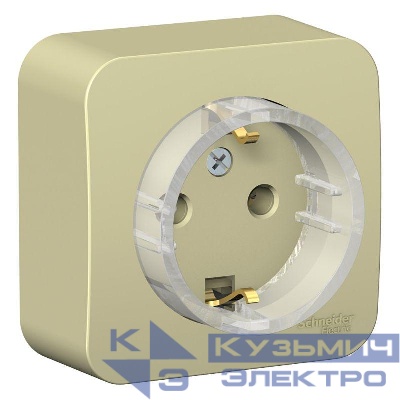 Розетка 1-м ОП Blanca 16А IP20 250В с заземл. без защ. шторок с изолир. пластиной (компакт) беж. SE BLNRA110117
