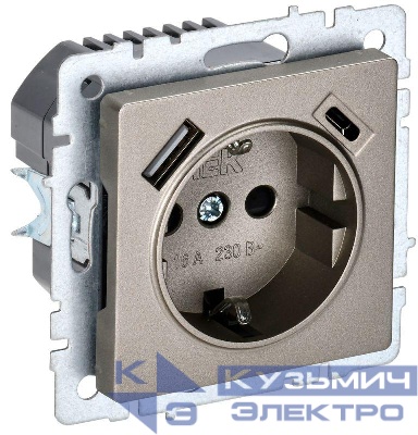 Розетка BRITE РЮш11-1-БрШ 16А с USB A+C 18Вт с заземл. защ. шторки механизм шампань IEK BR-R14-16-U22-018-K37
