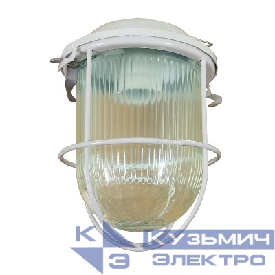 Светильник НСП 02-100-002 "Желудь А" IP52 с решеткой Элетех 1005550306