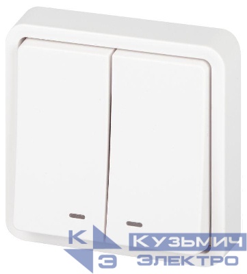 Выключатель Эксперт 11-1525-01 двойн. с подсветкой IP55 10АХ-250В СУ бел. Эра Б0063304