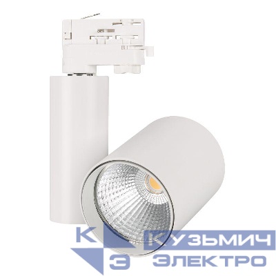 Светильник светодиодный LGD-SHOP-4TR-R100-40W Day4000 WH 24 deg IP20 металл Arlight 025398