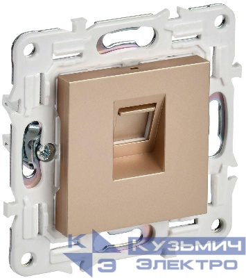 Розетка компьютерная RJ45 кат.5E SKANDY SK-K01Sa песочн. IEK SK-K10-1-K98