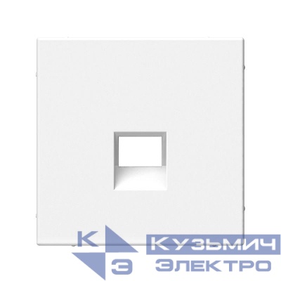 Накладка информационная ArtGallery типа Keystone бел. SE GAL000184