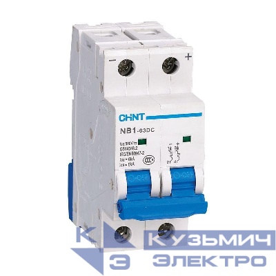 Выключатель автоматический модульный 2п C 4А 6кА NB1-63DC 500В DC (R) CHINT 182716