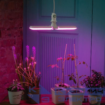 Лампа светодиодная LED-P65-16W/SPSB/E27/FR/P2 PLP32WH 16Вт P65 лепестковая матовая E27 для растений спектр для рассады и цветения (упак. картон) Uniel UL-00007406