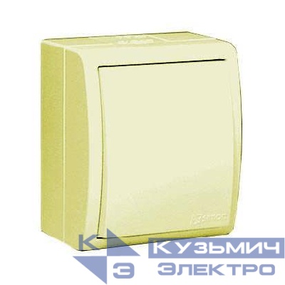 Выключатель 1-кл. ОП Simon 15 Aqua 10А IP54 с подсветкой винтов. зажим сл. кость Simon 1594104-031