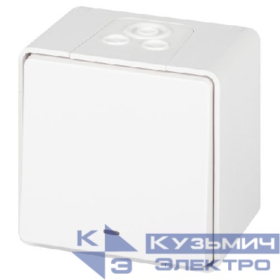 Переключатель Эксперт 11-1507-01 с подсветкой IP55 10АХ-250В ОУ бел. Эра Б0063255