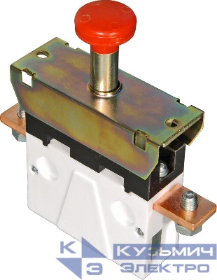 Выключатель кнопочный ВКЭ-250 ВНИИР A8120-80079557