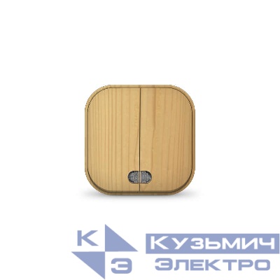 Выключатель 2-кл. 1п ОП 10А IP20 с подсветкой сосна IONICH 1437