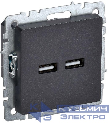 Розетка BRITE USB A+A 3.1А РЮ10-1-БрЧ механизм черн. IEK BR-U21-D31-K02