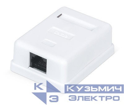 Розетка компьютерная 1-м ОП WR-WS-8P8C-C5E-1 RJ45 кат.5E неэкранир. Dual IDC бел. WRline 505215