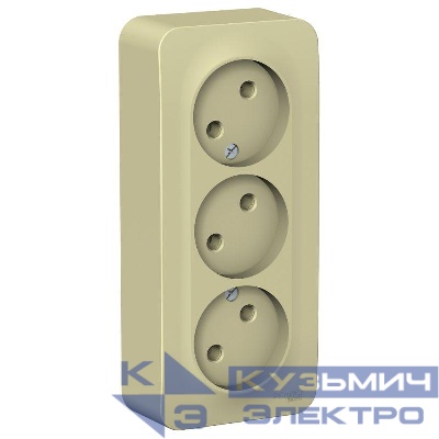 Розетка 3-м ОП Blanca 16А IP20 250В без заземл. без защ. шторок с изолир. пластиной беж. SE BLNRA000317