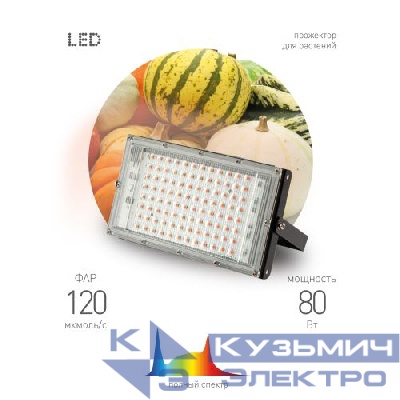 Прожектор светодиодный FITO-80W-Ra90-LED-Y 80Вт для растений полноспектральный IP65 Эра Б0057284