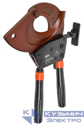 Ножницы секторные НС-100Бр IEK TNS41-100-BR