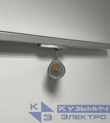 Светильник светодиодный ST210T LED39S/PW930 PSU VWB SI PY6 Philips 828820204949