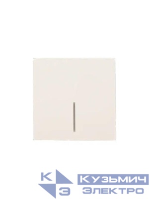 Выключатель 1-кл. с индик. СП ZIMA IP20 10А безвинт. зажим слон. кость LEZARD 704-9088-111QC