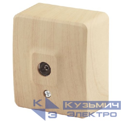 Розетка телевизионная одиночная TV ОП 1мод. Эксперт 11-3201-11 IP20 сосна Эра Б0020726