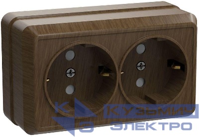Розетка 2-м ОП Октава РС22-3-ОД 16А IP20 с заземл. дуб GENERICA ERO21-K04-16-DC