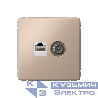 Розетка компьютерная + телевизионная 2-м СП ArtGallery RJ45 кат.5E + TV механизм песочн. SE GAL001289