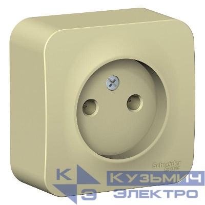 Розетка 1-м ОП Blanca 16А IP20 250В без заземл. без защ. шторок с изолир. пластиной беж. SE BLNRA000117