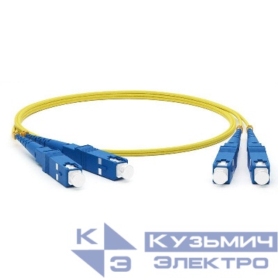 Патч-корд оптический соединительный (SM) 9/125 (OS2) SC/UPC-SC/UPC (Duplex) LSZH 5м Rexant 50-2014