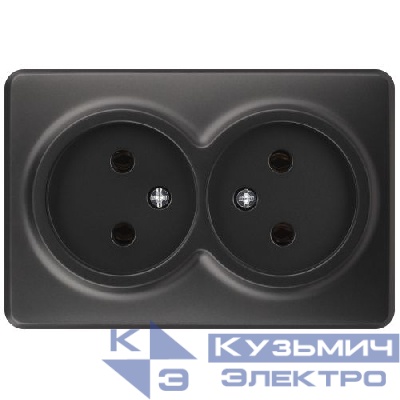 Розетка 1-м ОП Эксперт 11-2202-05 16А IP20 250В 2х2P антрацит Эра Б0062997