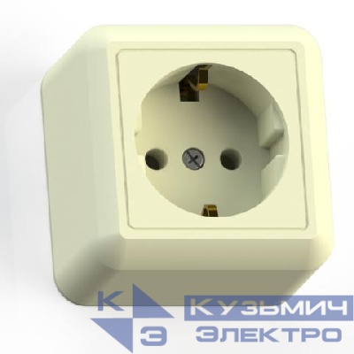 Розетка 1-м ОП Оптима РА16-376 16А IP20 с заземл. с монтаж. пластиной сл. кость Кунцево 8036