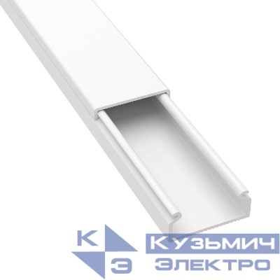 Кабель-канал 22х10 L2000 пластик TMC DKC 00317