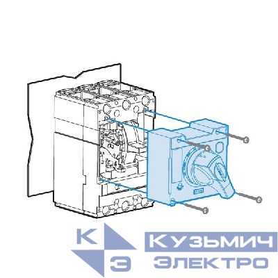 Рукоятка поворотная DH2-S TS250 LS Electric 83111172801