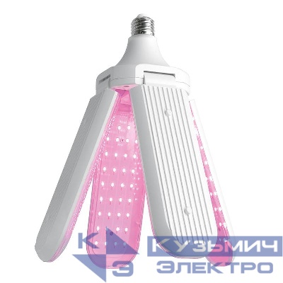 Лампа светодиодная LB-7000 40Вт E27 230В 4-х лепестковая красн./син. спектр FERON 48445
