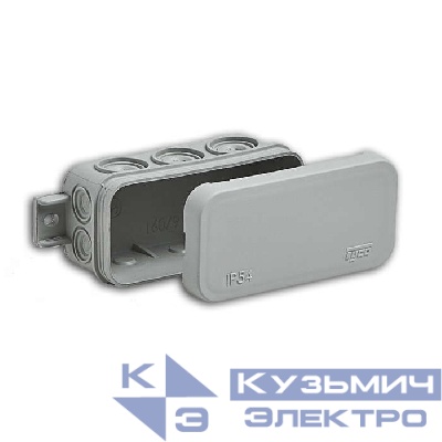 Коробка распределительная ОП 43х80х35мм IP54 10 вводов сер. Ruvinil 67091