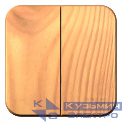 Выключатель 2-кл. ОП Blanca 10А IP20 (сх. 5) 250В с изолир. пластиной ясень SE BLNVA105015