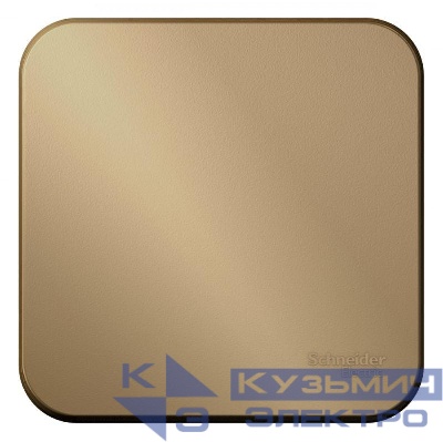 Выключатель 1-кл. ОП Blanca 10А IP20 (сх. 1) с самовозвратом с изолир. пластиной титан SE BLNCA101014