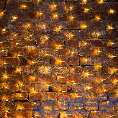Гирлянда светодиодная "Сеть" 2х1.5м 288LED тепл. бел. 24Вт 230В IP65 свечение с динамикой провод ПВХ прозр. Neon-Night 215-046