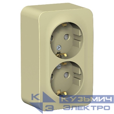 Розетка 2-м ОП Blanca 16А IP20 250В с заземл. защ. шторки с изолир. пластиной беж. SE BLNRA011217