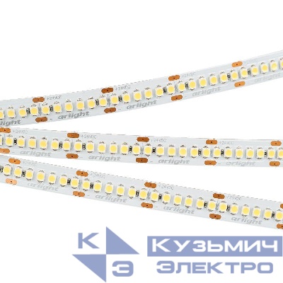 Лента светодиодная RT-A240-10mm 24V Cool 8000К 19.2Вт/м IP20 3528 (уп.5м) Arlight 018728(2)