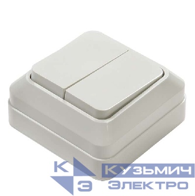 Выключатель 2-кл. ОП Bolleto 10А IP20 7023 бел. ASD / IN HOME 4680005959761