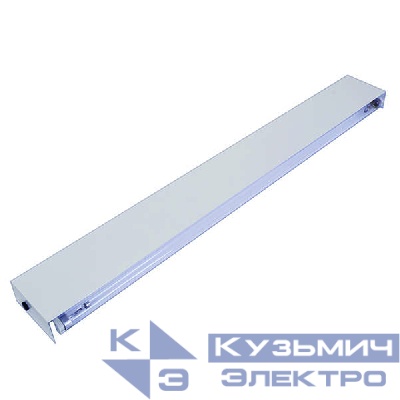 Облучатель бактерицидный ОБН01-30-002 с защ. экраном Фотон ЭмПРА (ОБН) (без ламп) Ксенон 0290130002