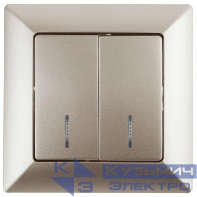 Выключатель 2-кл. СП Solo 4-105-04 10А IP20 250В с подсветкой шампань Intro Б0053596